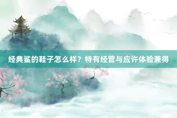经典鲨的鞋子怎么样？特有经营与应许体验兼得