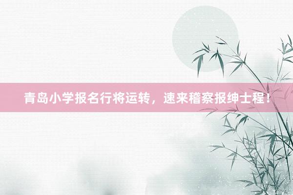 青岛小学报名行将运转，速来稽察报绅士程！