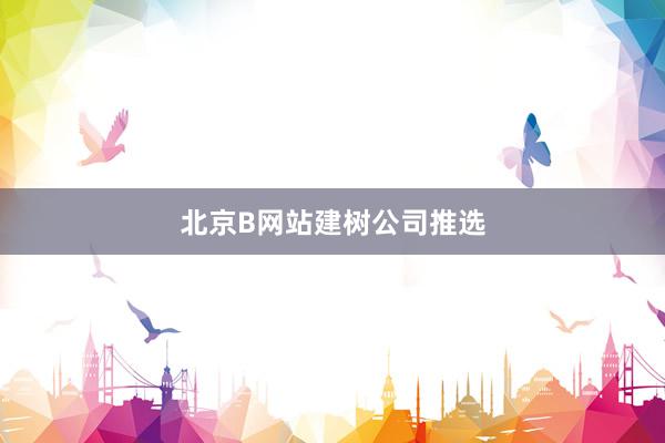 北京B网站建树公司推选